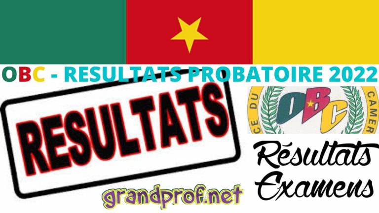 Cameroun: Résultats Probatoire 2023 séries A ABI C D E TI – Région du Nord